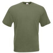 FR610360-VALUEWEIGHT-SHORT-SLEEVE-T-shirt-manica-corta-verde-oliva