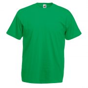 FR610360-VALUEWEIGHT-SHORT-SLEEVE-T-shirt-manica-corta-verde-prato