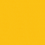 giallo girasole